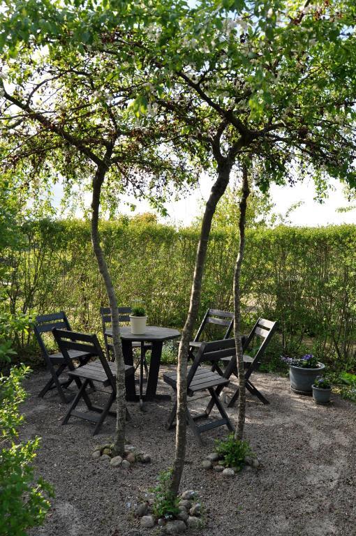 Bed and Breakfast Kontakta Liselotte Abel Vessigebro Экстерьер фото